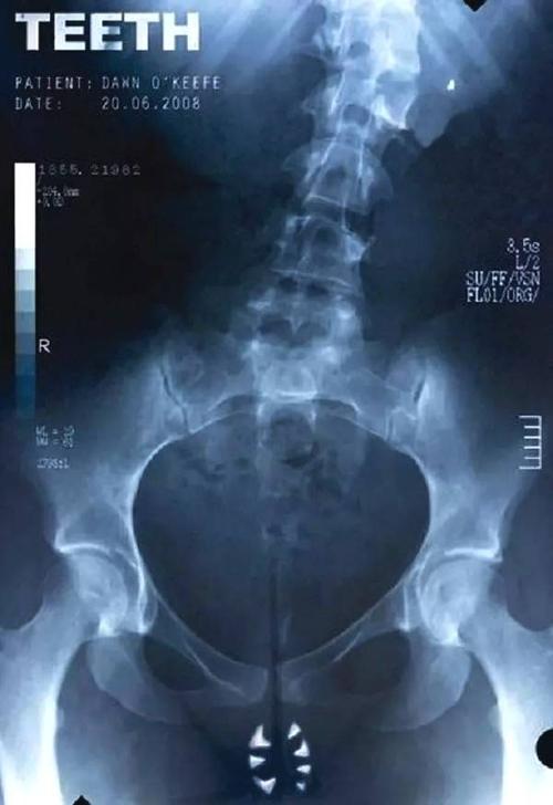 犹他州驾驶证哪里有卖